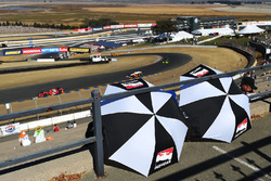 Fans with IndyCar umbrellas
