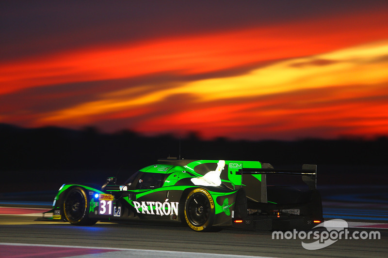 #31 Extreme Speed Motorsports Ligier JS P2 - Nissan: Ryan Dalziel, Pipo Derani, Christopher Cumming