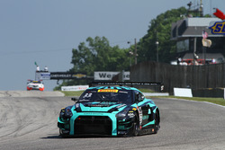 #33 Always Evolving Racing Nissan GT-R-GT3: James Davison