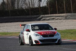 Peugeot 308 TCR