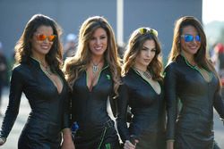 Hot Monster energy girls