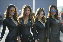 Monster Energy kızları