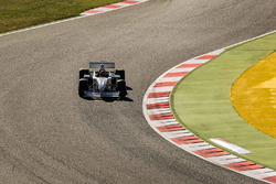 Patrick Friesacher, F1 Experiences tweezitter-rijder