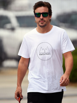 Fernando Alonso, McLaren
