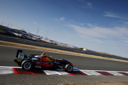 Dan Ticktum, Motopark Dallara F317 - Volkswagen
