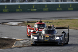 #5 Action Express Racing Cadillac DPi: Joao Barbosa, Filipe Albuquerque, Christian Fittipaldi