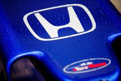 Le logo Honda sur le nez de la Toro Rosso STR13