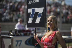 Grid girl