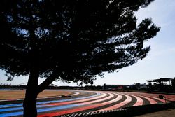 Stoffel Vandoorne, McLaren MCL33