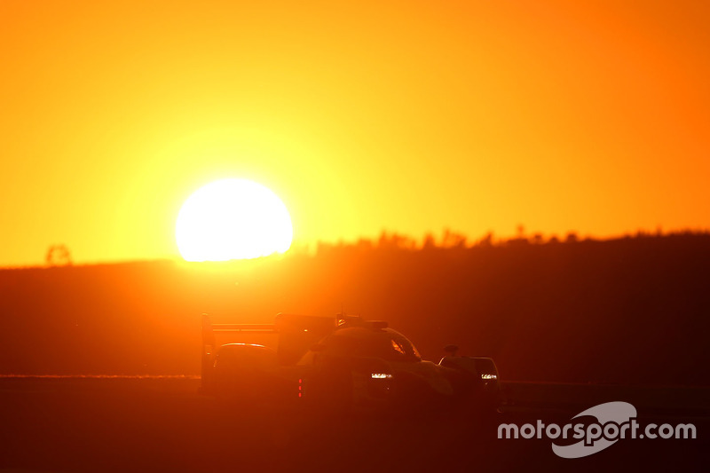 #7 Toyota Gazoo Racing Toyota TS050-Hybrid: Fernando Alonso 