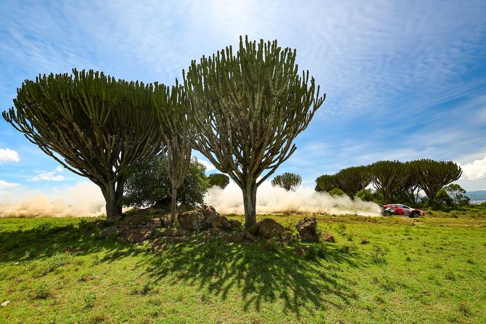 Why Evans suffered his first WRC retirement since 2024 119 Oliver Solberg, Elliott Edmondson, Toyota Gazoo Racing WRT Toyota GR Yaris Rally1