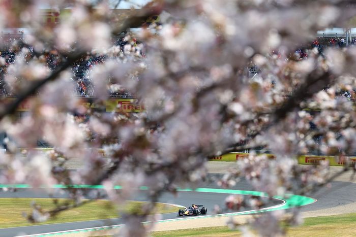 Max Verstappen, Red Bull Racing