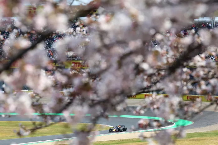 Max Verstappen, Red Bull Racing