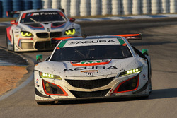 #93 Michael Shank Racing Acura NSX: Andy Lally, Katherine Legge, Mark Wilkins