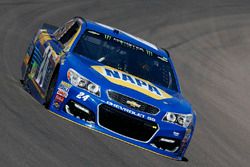 Chase Elliott, Hendrick Motorsports, Chevrolet