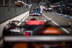 #67 Ford Chip Ganassi Racing Ford GT: Andy Priaulx, Harry Tincknell