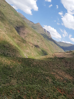 Sfeerbeeld Roof of Africa