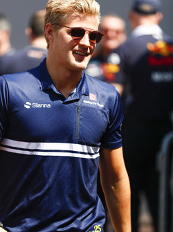 Маркус Ерікссон, Sauber