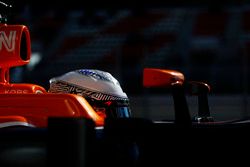 Fernando Alonso, McLaren