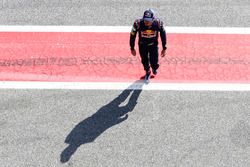Carlos Sainz Jr., Scuderia Toro Rosso