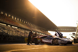 #67 Ford Chip Ganassi Racing Team UK Ford GT: Andy Priaulx, Harry Tincknell