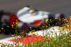 Esteban Gutierrez, Haas F1 Team VF-16