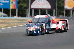 #0 Panoz DeltaWing Racing DWC13: Katherine Legge, Gabby Chaves, Sean Rayhall