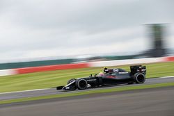 Jenson Button, McLaren MP4-31