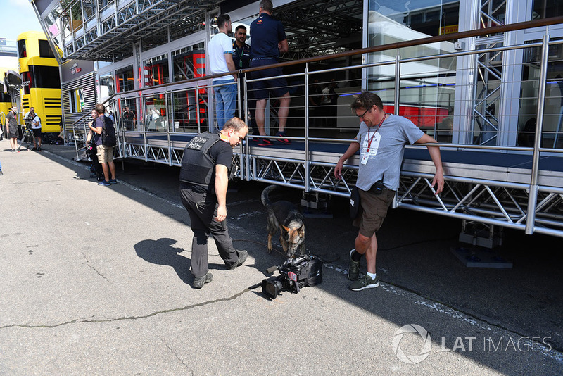 Seguridad y un perro