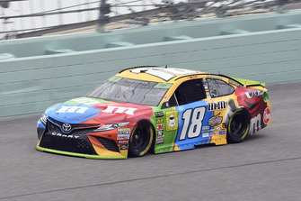 Kyle Busch, Joe Gibbs Racing, Toyota Camry M&M's