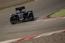 Max Verstappen, Scuderia Toro Rosso STR11