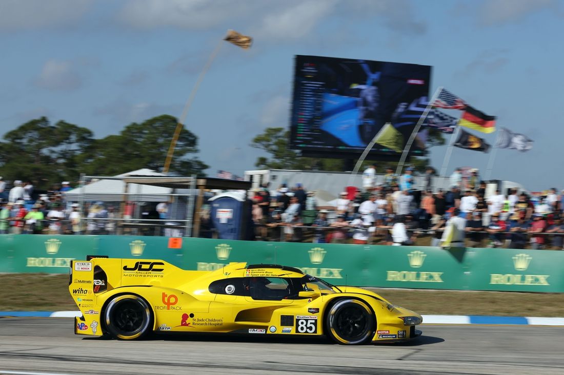 #85 JDC Miller MotorSports Porsche 963: Tijmen Van Der Helm, Gianmaria Bruni, Nico Muller