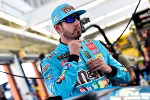 Kyle Busch, Joe Gibbs Racing, Toyota Camry M&M's Hazelnut