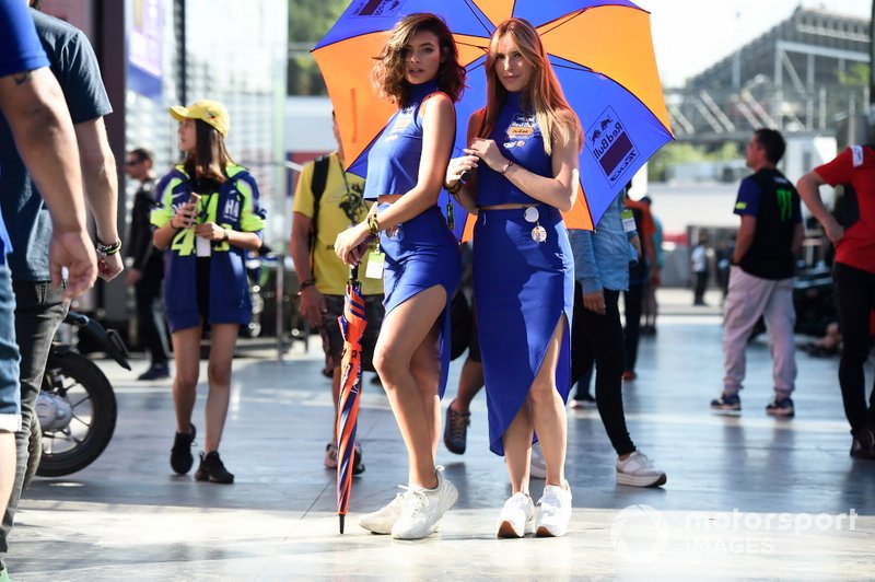 MotoGP grid girls