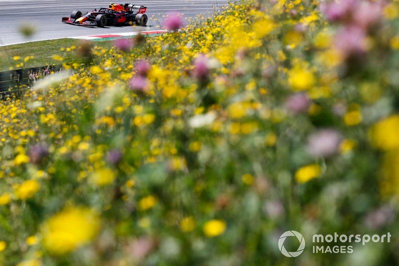 Pierre Gasly, Red Bull Racing RB15