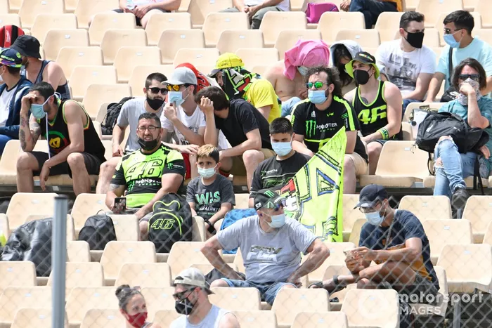 Fans