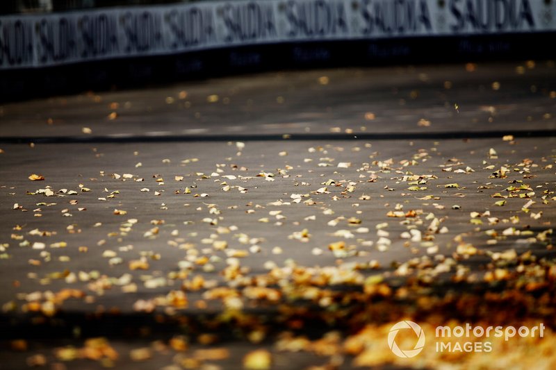 Hojas en la pista