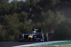 Oliver Rowland, DAMS