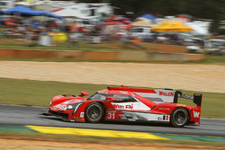 #31 Action Express Racing Cadillac DPi: Eric Curran, Dane Cameron, Mike Conway