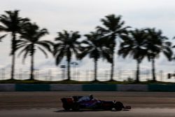 Pierre Gasly, Scuderia Toro Rosso STR12