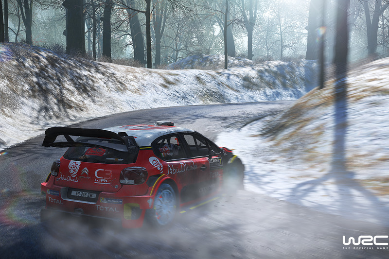 Screenshot WRC 7