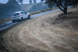 Damiano De Tommaso, Paolo Rocca, Power Car Team R2B Peugeot 208