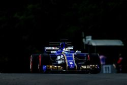 Marcus Ericsson, Sauber C36