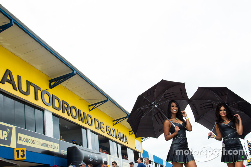 Grid Girls