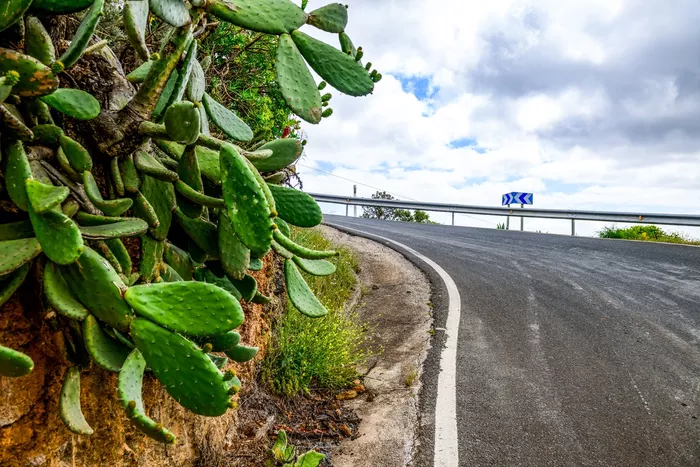 Rally Stage Atmosphere