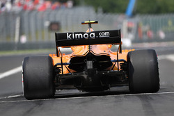 Stoffel Vandoorne, McLaren MCL33