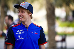 Брендон Хартли, Scuderia Toro Rosso