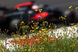 Fernando Alonso, McLaren MP4-31