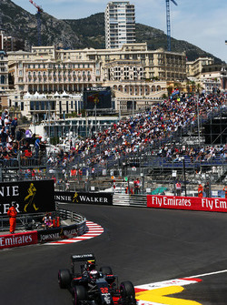 Jenson Button, McLaren MP4-31