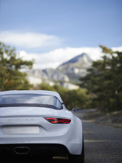alpine vision